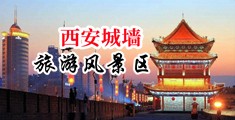 男人把鸡巴插入女人逼里的视频软件中国陕西-西安城墙旅游风景区